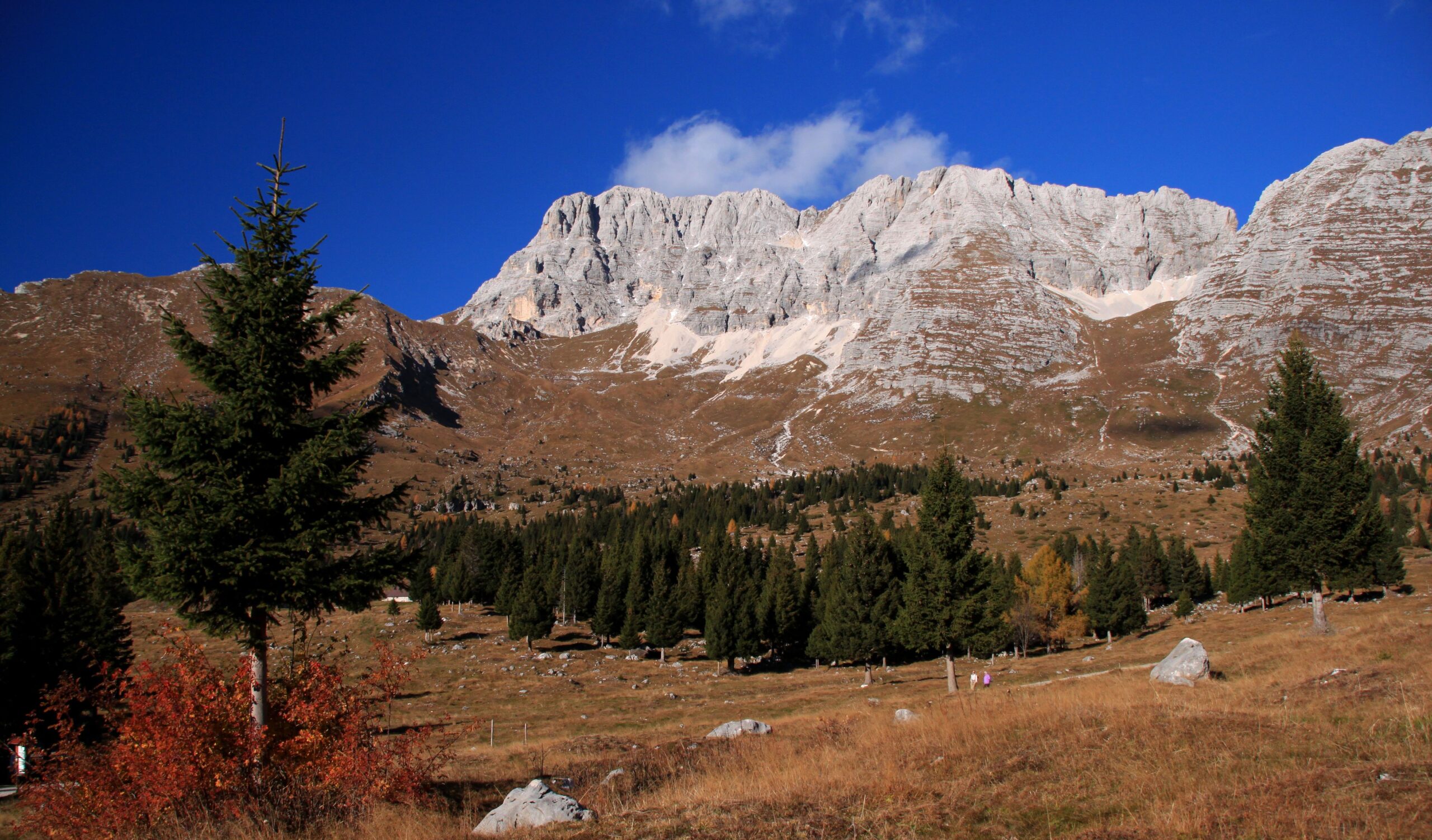 Altopiano del Montasio