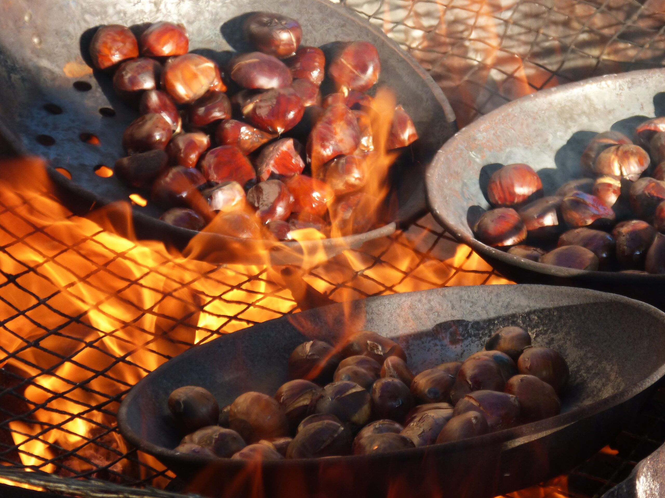 makamuki0-chestnuts-1783878