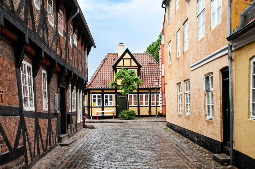 Ribe-1024x678