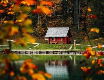 fusine