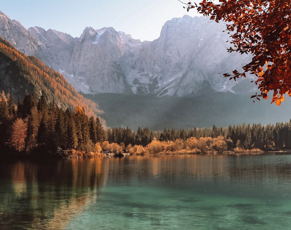 fusine2